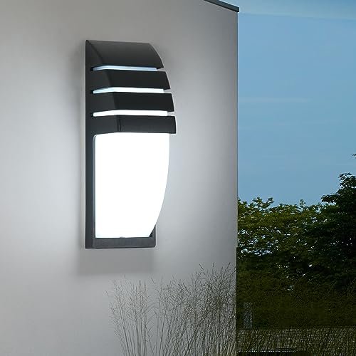 Comely 12W Applique da Parete LED Moderno, Lampada da Esterno Interno/Esterno, IP65 Impermeabile Applique LED per Soggiorno, Portico, Balcone, Luce Bianca Fredda 6500K