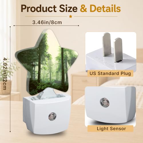 Image of Misty Forest Star Night Light Plug in, Soft Glow Night Light for Kids Bedroom Nursery, Gentle Warm Light for Sleep, Compact Lamp for Hallway Bathroom