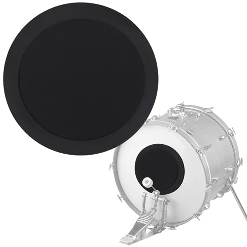 Best Bass Drum Mute Expert Review The Modern Record