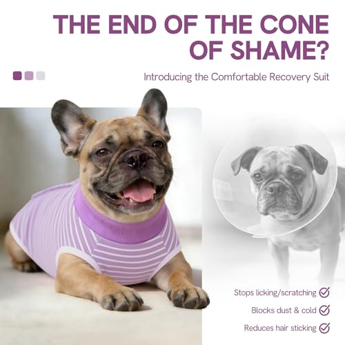 Image of SAWMONG Recovery Suit for Dogs Female Male, Cotton Breathable Dog Onesie After Surgery Spay Neuter, Professional Dog Surgical Suit, Substitute Pet E-Collar Cone, Purple, XX-Large