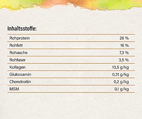 Eminent Mini | Hundefutter mit Insekt | Trockenfutter für Hunde Toy- und Mini- Rassen | Getreidefrei | Hypoallergenes | 1x 2kg