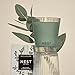 NEST New York Scented Classic Candle, Wild Mint & Eucalyptus - 8.1 oz - Up to 60-Hour Burn Time - Reusable Glass Vessel