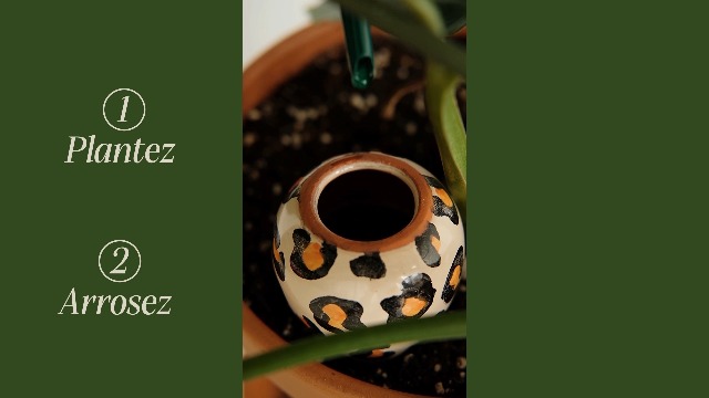 Pepin | 2X Ollas Terre Cuite à Planter | Arrosage Automatique et Ecologique pour Plante d'Intérieur et d'Extérieur | Autonomie d'Environ 1 Semaine | OYA Terracotta + Blanc Grainé 25cl Pepin | 2X Ollas Terre Cuite à Planter | Arrosage Automatique et Ecologique pour Plante d'Intérieur et d'Extérieur | Autonomie d'Environ 1 Semaine | OYA Terracotta + Blanc Grainé 25cl