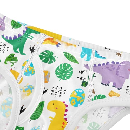 Cute Cartoon Dinosaurs Toddler Boy's Underwear 2T 202c17924