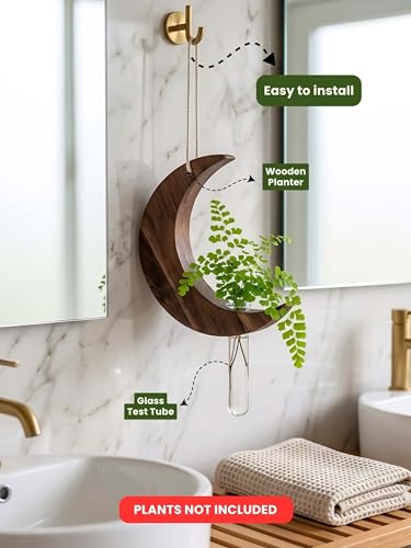 Image of Hanging Moon Planter with Wooden Holder & Rope | Test Tube Design, Indoor Stand, Home Decor, Living Room & Balcony, Office Decoration