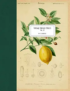 Vintage Botany Prints: Vol. 22