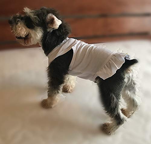 Pet Clothes Small Dog Clothing Blank Color Sport Dress T-Shirts Tee Dresses Tanks Top For Small Size Female Dogs Summer Spring Pet Costumes 100% Cotton (S, White) #TOP2