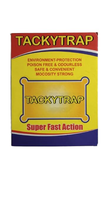 Sticky Insect Trap (Yellow, 21.5 * 10 CM, Large Size) Pack of 1 Design May Different-image-19
