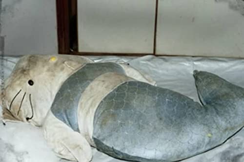 Episode 11: Hello Kitty Murder