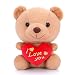 Gloveleya Plush Teddy Bear Toy Valentine's Day Red Heart I Love You''Lover's 6 Inches with Gift Box