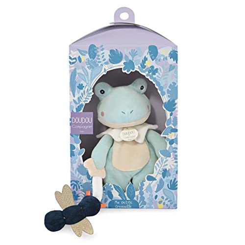 Doudou et Compagnie - La Colline aux Oiseaux - Ma petite grenouille - Doudou grenouille- Amande - 27cm - Cadeau naissance - Jolie boîte nichoir - DC4052