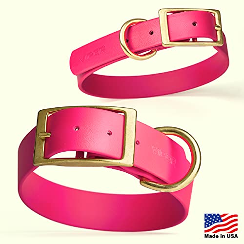Viper Biothane Heavy Duty Waterproof Dog Collar Strong Coated Nylon Webbing W/Solid Brass Hardware Odor-Proof For Easy Care Easy To Clean High Performance Fits Small Medium Or Large Dogs #TOP3