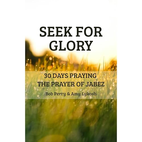 Seek for Glory Audiolibro Por Amy Lykosh, Bob Perry arte de portada