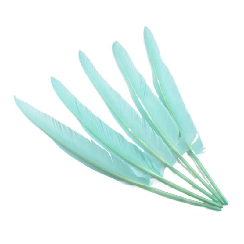 Plumas de pavo para manualidades de 25-30 cm, accesorios de joyería y plumas blancas decorativas