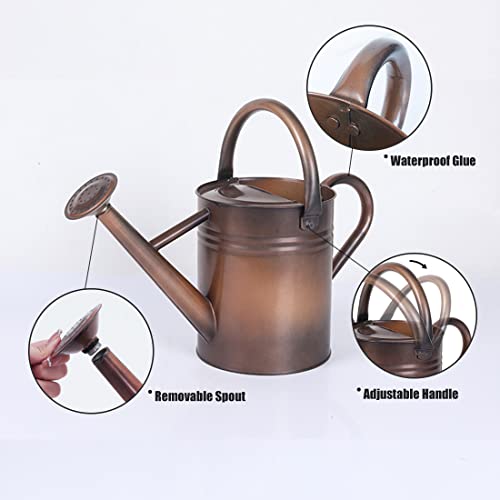 Lechloris Metal Watering Can For Outdoor Plants, Galvanized Steel Watering Can With Removable Spout, 1 Gallon,Perfect Home & Garden Decor With Free Glass Nuggets And Rattan Wicker Balls, Copper #TOP2