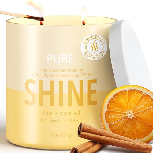 Citrus & Clove Odor-Eliminating Candle