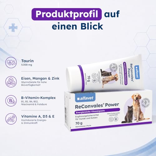 Alfavet ReConvales Power Paste - Ergänzungsfutter für Hund & Katze, 70 g
