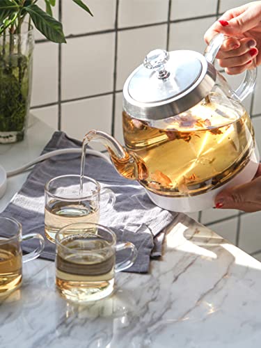 Bouilloire électrique en verre borosilicate transparent et éclairage LED moderne