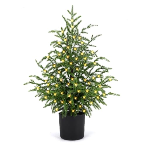 ENVEN 2FT Norfolk Pine Christmas Tree – Small Artificial Tree with Prelit 30 LED Lights & 8-Mode Battery Box, Pre-Assembled Xmas Decor for Desks Tabletops Shelves