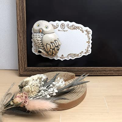 Amazon.co.jp: リンコナダ 白フクロウ M36 冷蔵庫 マグネット 磁石