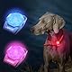LaRoo Sicherheits LED Blinklicht für Hunde,Katzen, LED Licht Leuchtanhänger Schlüsselanhänger 3 Blinkmodis Sicherheitslicht für Spaziergänge mit dem Hund und Outdoor-Sport Wiederaufladbares