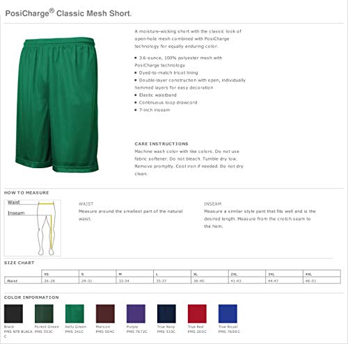 Sorority Letters Shop Alpha Epsilon Pi Mesh Shorts - AEPi Athletic Intramural Short3