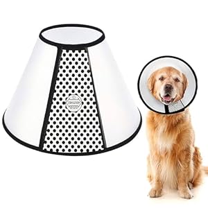 WYFCR Collarín para Mascotas, Collar Isabelino Protector, Anti-Mordida Cono Mascotas Ajustable Collar de Recuperación, para Perro Grande, Baños, Recortar Uñas, Circunferencia 43-49cm