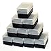 Lot de 10 boîtes de rangement porte-diapositives noires avec bouchon semi-transparent