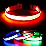 🐕 Satisfacción del cliente al 100 %: estos collares LED para perros son muy recomendables, queremos que te gusten nuestros collares de perro iluminados tanto como nosotros. Si no estás satisfecho con nuestro collar iluminado por cualquier razón, por favor devuelve los productos para un nuevo reemplazo o un reembolso completo. Sin riesgo de pedido.