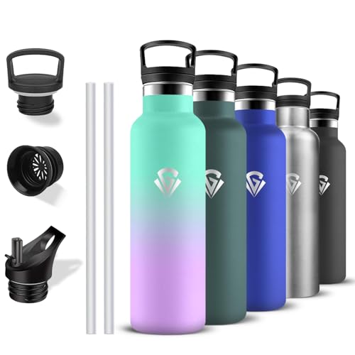 Gourde Isotherme, Gourde 750 ml, Sans BPA, Bouteille Isotherme, Anti Fuite, Bouteille Inox, Double Isolation, Facile à Nettoyer, Bouteille d'eau pour Sport, Camping, Yoga, Running, Randonnée