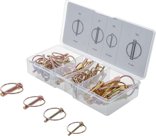 BGS 8087 | Surtido de pasadores con clip de seguridad | 50 pieza