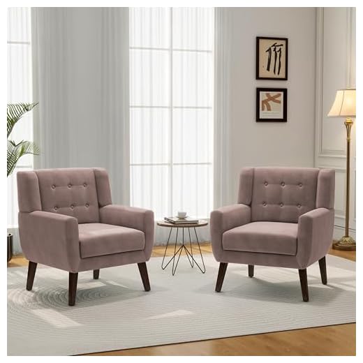 Stylish Velvet Accent Chair Set of 2