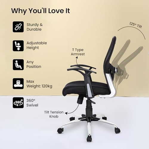SAVYA HOME Apollo Medium Office Chair