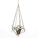NCYP Rustic Style Freestanding Wall Hanging Quadrilateral Pyramid Shape Geometric Metal Tillandsia Air Plants Rack Holder Rose Gold 10inches Height No Plants