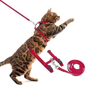 PUPTECK Adjustable Cat Harness and Lead Set Escape Proof Kitten Strap Collar for Walking Travel, Red, S
