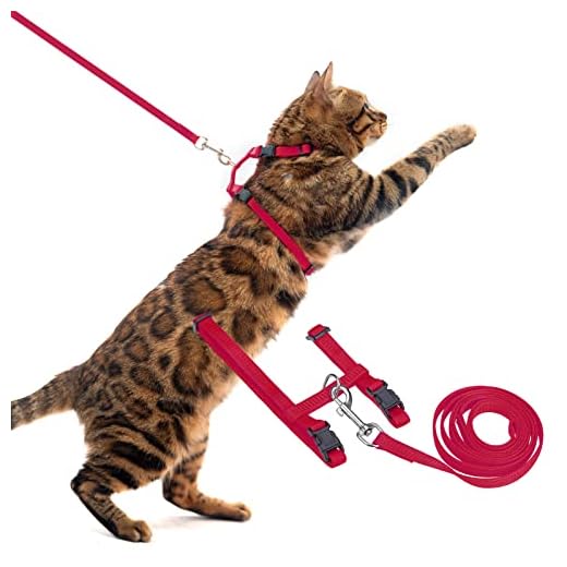 PUPTECK Harnais réglable pour chat en nylon avec laisse Rouge