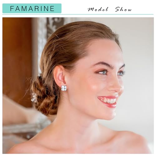 FAMARINE CZ Clip on Earrings for Women Clip Earring Non-pierced Earrings2