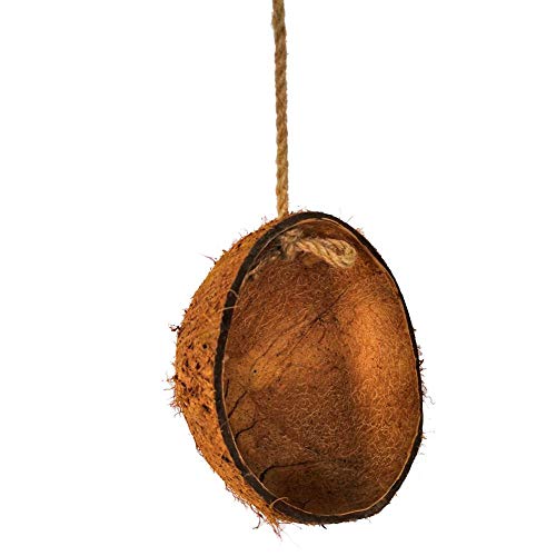 wovemster Parrot Coconut Shell Hanging Basket Swing, Bird Toy Parrot Coconut Shell Toy Natural Coconut Shell Bed Hanging Basket