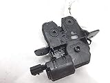 Schloss Kofferraum / Port N Schloss für Koffer / Porton R Clio Iv 846300003R (gebraucht) (id:demip5615233)