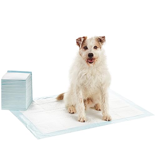 Amazon Basics Dog and Puppy Pee Pads with 5-Layer Leak-Proof Design and Quick-Dry Surface for Potty Training, Heavy Duty Absorbency, X-Large, 28 x 34 Inch - Pack of 25, Blue & White