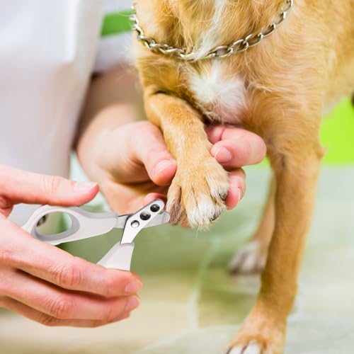Image of PEUTIER Easy Cat Claw Trimmer, Cat Nail Clipper Kitten Professional Accessories Tool Professional Claw Trimmer for Novice Indoor Pet Families Grooming Supplies