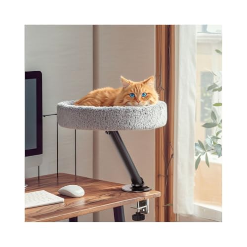 fXNp Lxbh ]\ Xy[XߖAω׏d20kg ȒP ȒPȑgݗ/LnbN/t₷/LV/lGp/~]邱ƂłLxbhfXNLnK[ (B^CvubNt[iLzJo[CgO