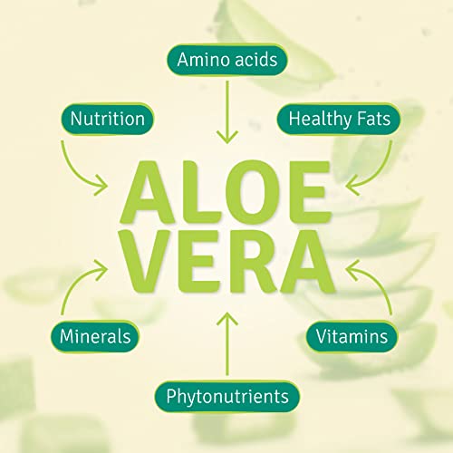 Aloe Life - Whole Leaf Aloe Vera Juice Concentrate, Soothing Relief For Indigestion, Antioxidant Catalyst, Supports Energy & Wellness, Certified Organic Aloe Leaves, Gluten-Free (Aloe Gold, 16 Oz) #TOP5
