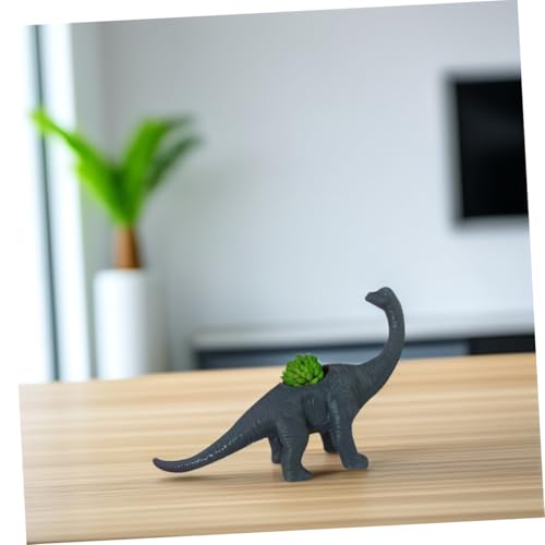 Pots de fleurs succulentes dinosaures mini conteneurs bonsaï HEMOTON
