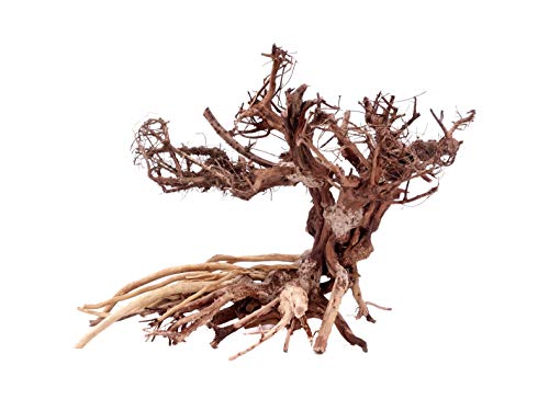 Aquarium Wurzel Bonsai Exclusive Größe L 40x30cm Nr.4 Holz Deko Aquascaping Bonsaibaum Dekoration Landschaft Moos Echtholz Natur