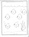 Arabic Letters Activity Book
