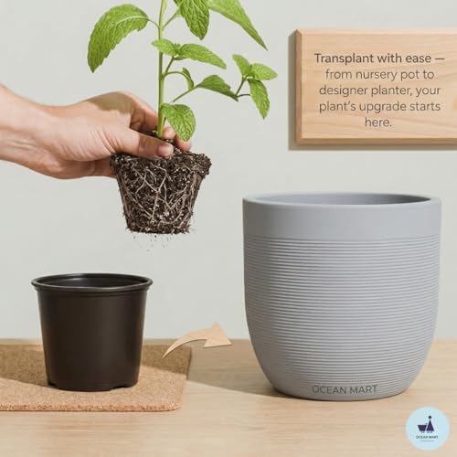 Image of Plastic Flower Pots 6 Inch | Black Nursery Plant Pots for Indoor & Outdoor Gardening | Lightweight, Durable Pots with Drainage for Seeds, Succulents & Saplings | Pack of 10