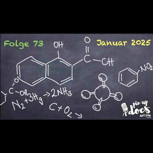 Hauptfolge 73 - Januar 2025 Podcast By  cover art