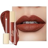 Oulac Rossetto Liquido Matte, Rosso Mattone Rossetti Colore Intenso, Tinta Labbra Finish Matte, Lunga Tenuta, Ricco di vitamina E, Consistenza crema, Vegana&Senza crudeltà 4.5ml (M21) Wild Kiss