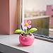 Pink Solar Powered Dancing Swinging Flower Toy Car Dashboard Ornament Home Office Decor Gift Stylish and Popular Practical Solar Kits